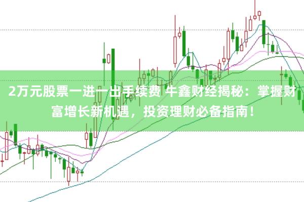 2万元股票一进一出手续费 牛鑫财经揭秘：掌握财富增长新机遇，投资理财必备指南！