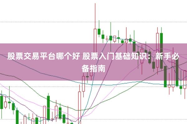 股票交易平台哪个好 股票入门基础知识：新手必备指南