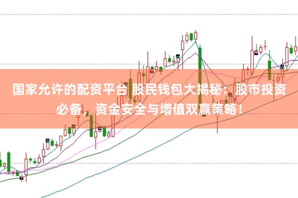国家允许的配资平台 股民钱包大揭秘：股市投资必备，资金安全与增值双赢策略！