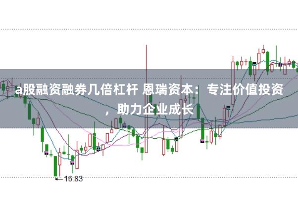 a股融资融券几倍杠杆 恩瑞资本：专注价值投资，助力企业成长