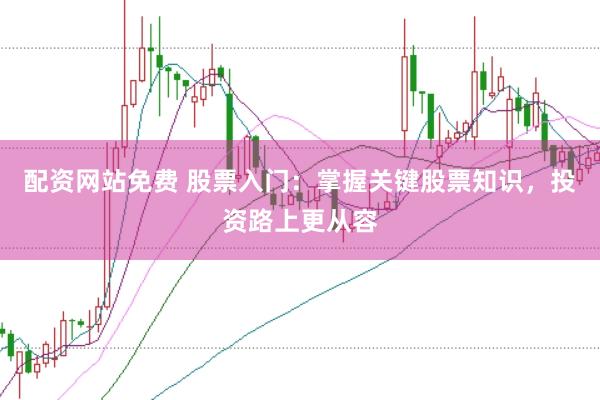 配资网站免费 股票入门：掌握关键股票知识，投资路上更从容