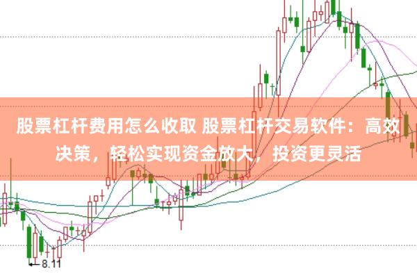 股票杠杆费用怎么收取 股票杠杆交易软件：高效决策，轻松实现资金放大，投资更灵活