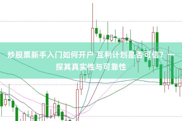 炒股票新手入门如何开户 互利计划是否可信？一探其真实性与可靠性