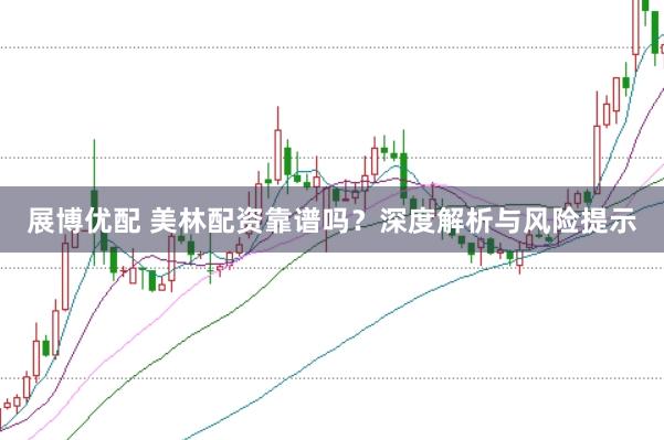 展博优配 美林配资靠谱吗？深度解析与风险提示