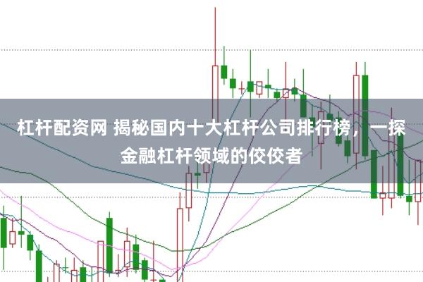 杠杆配资网 揭秘国内十大杠杆公司排行榜，一探金融杠杆领域的佼佼者