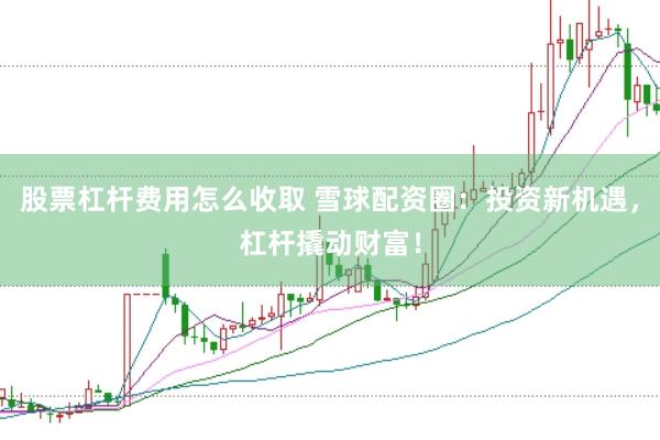 股票杠杆费用怎么收取 雪球配资圈：投资新机遇，杠杆撬动财富！