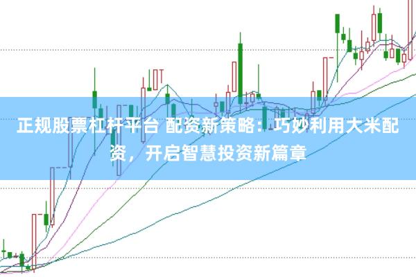 正规股票杠杆平台 配资新策略：巧妙利用大米配资，开启智慧投资新篇章