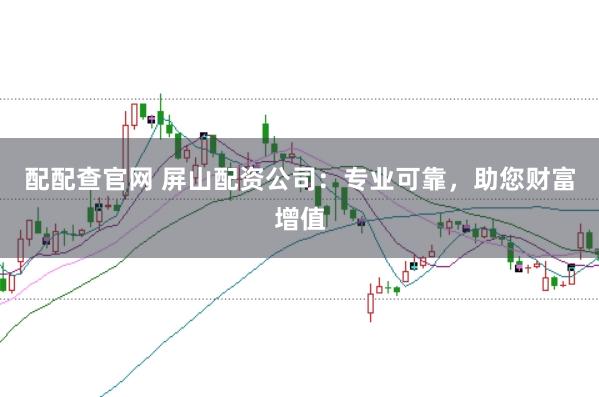 配配查官网 屏山配资公司：专业可靠，助您财富增值
