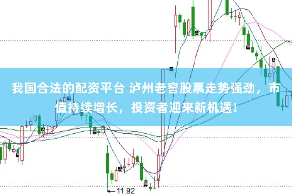 我国合法的配资平台 泸州老窖股票走势强劲，市值持续增长，投资者迎来新机遇！
