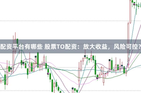 配资平台有哪些 股票TO配资：放大收益，风险可控？