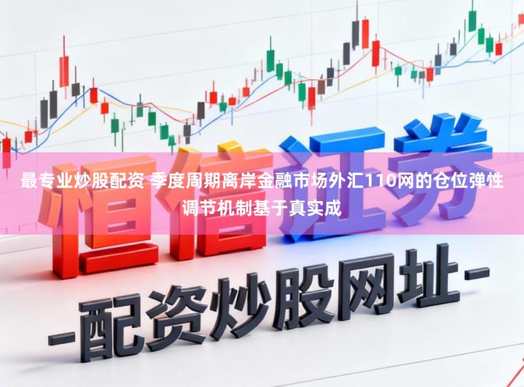 最专业炒股配资 季度周期离岸金融市场外汇110网的仓位弹性调节机制基于真实成