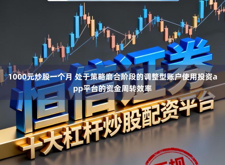 1000元炒股一个月 处于策略磨合阶段的调整型账户使用投资app平台的资金周转效率
