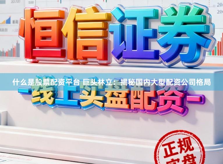 什么是股票配资平台 巨头林立：揭秘国内大型配资公司格局